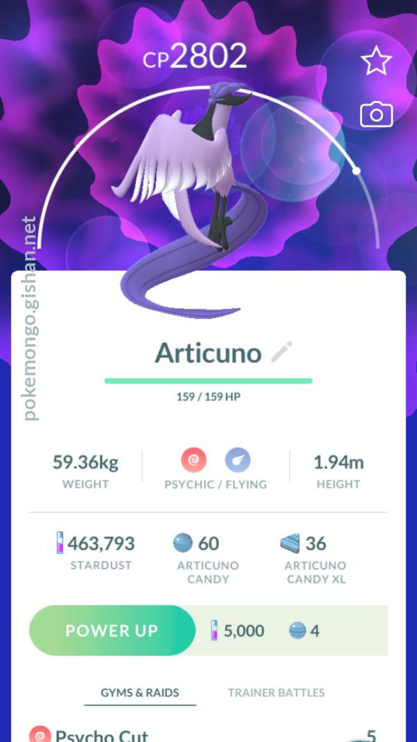 Galarian Articuno in Psychic Cup,How Good is it? #pokemongo #pokemon  #galarianbirds #gobattleleague 