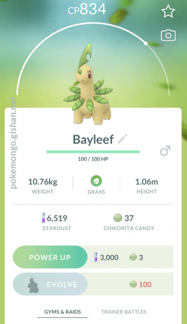 pokemon bayleef