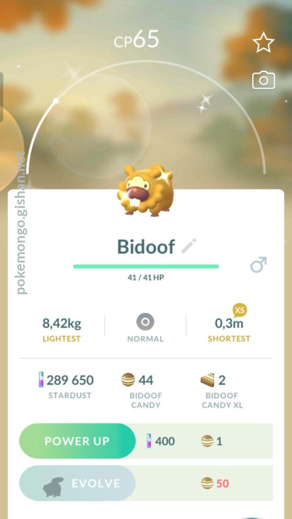 I Am A Bidoof | Pokémon Amino