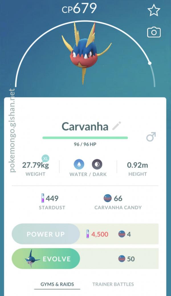 Carvanha - Pokemon Go