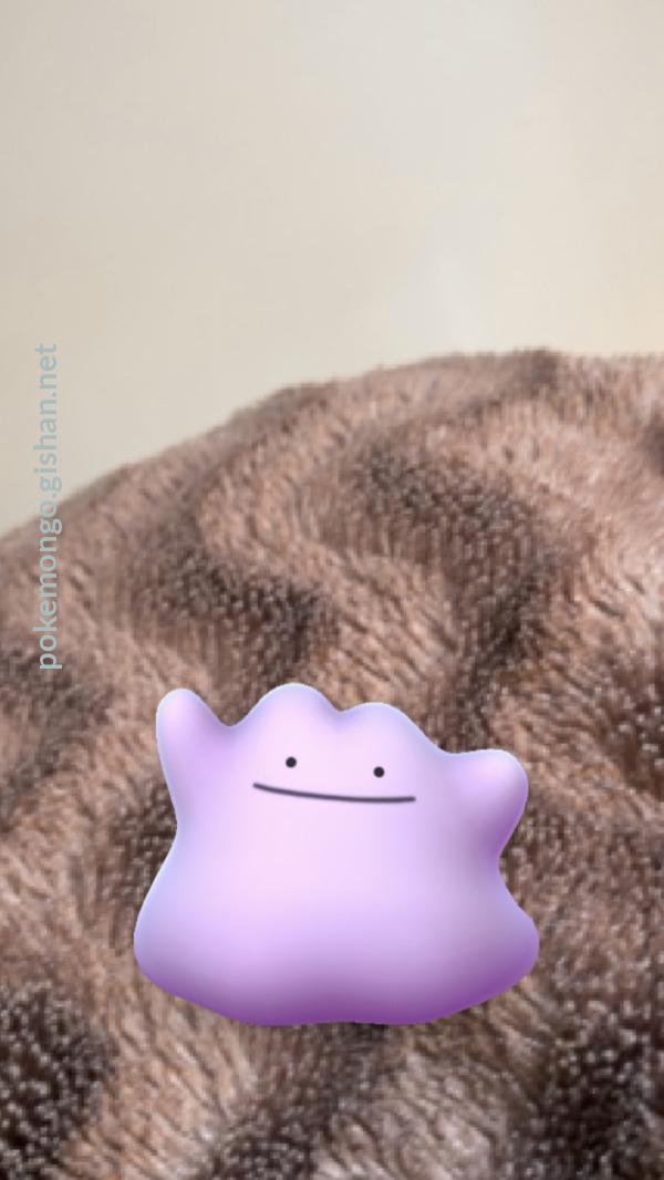 How to find and use a Ditto in Pokemon Go - CNET