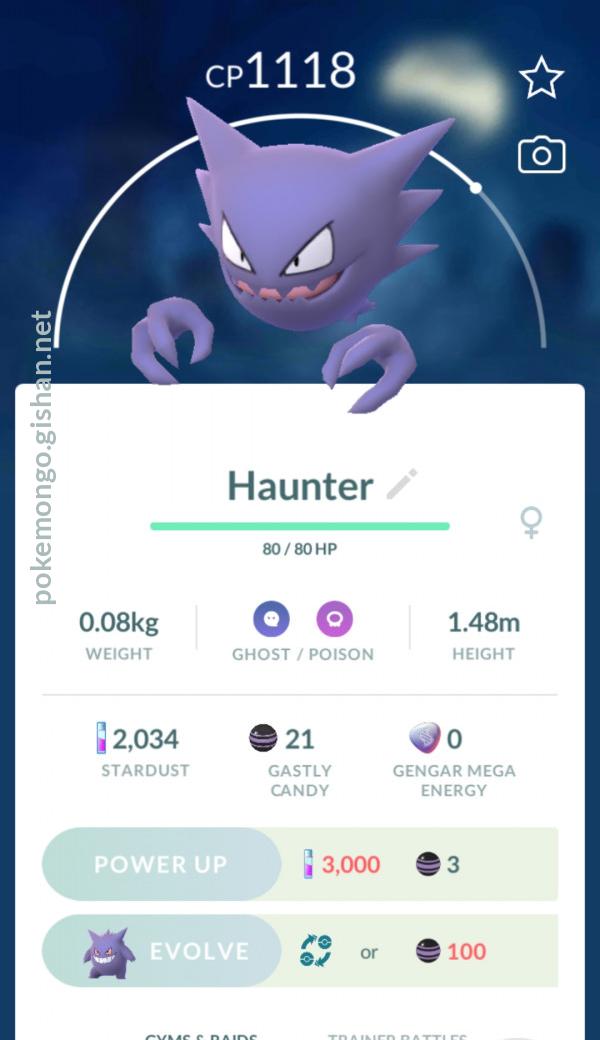 Haunter - Pokemon Go