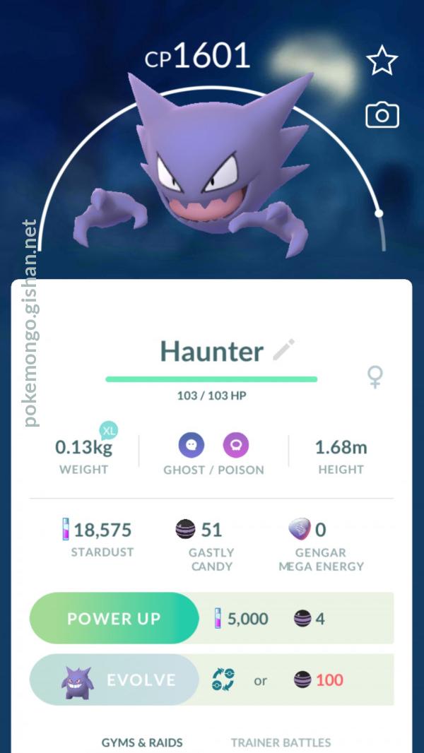 Haunter - Pokemon Go