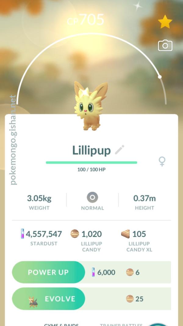 Shiny Lillipup - Pokemon Go