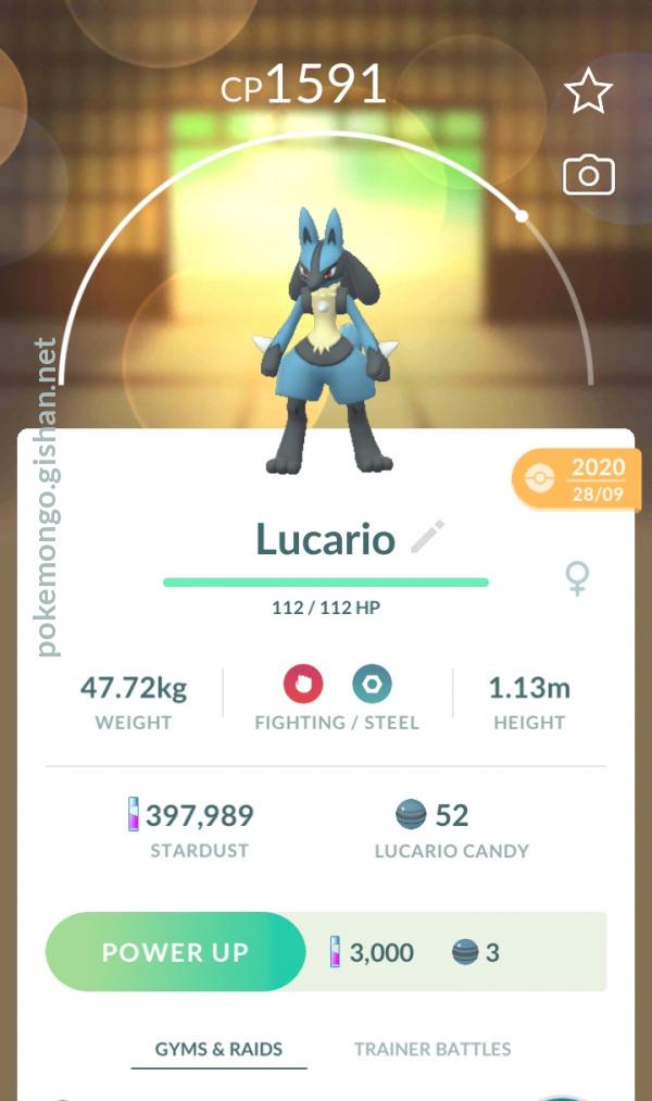 Pokemon lucario and shiny