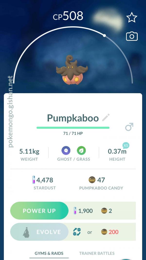 Pumpkaboo Small Size Pokemon Go