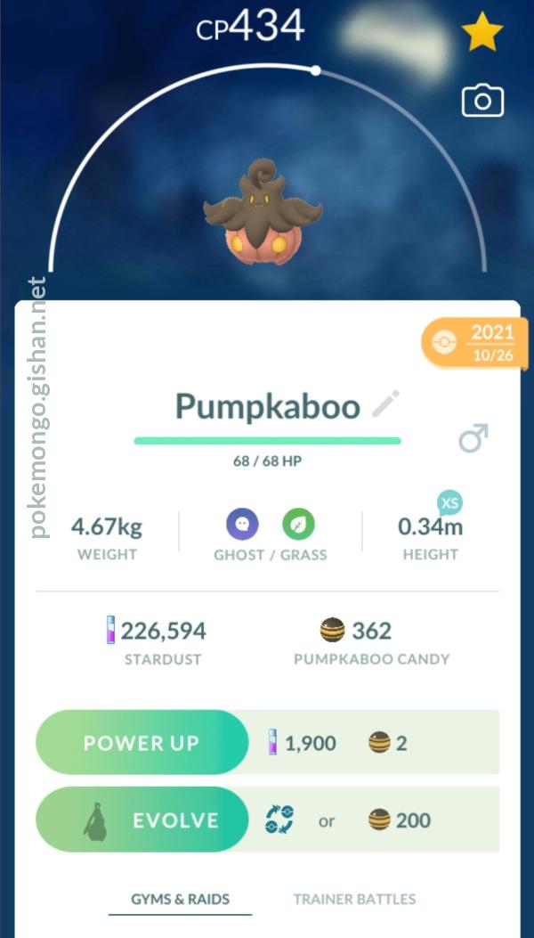 Pumpkaboo