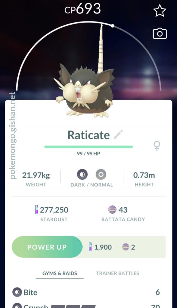 Raticate - Alola Form (Pokémon GO) - Best Movesets, Counters