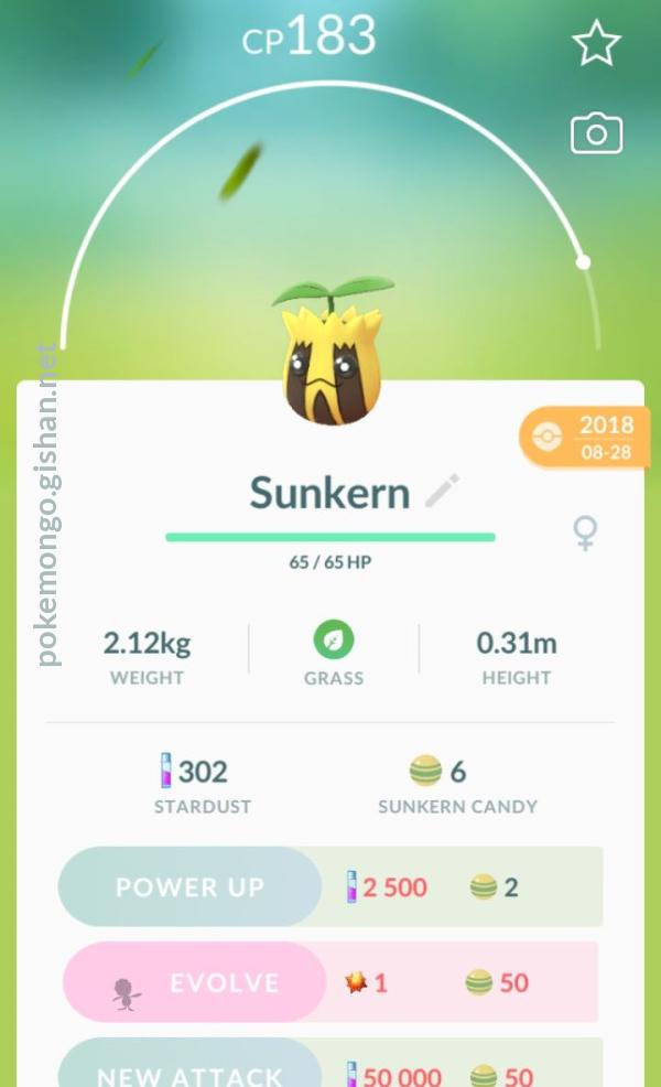 Sunkern Pokemon Go 