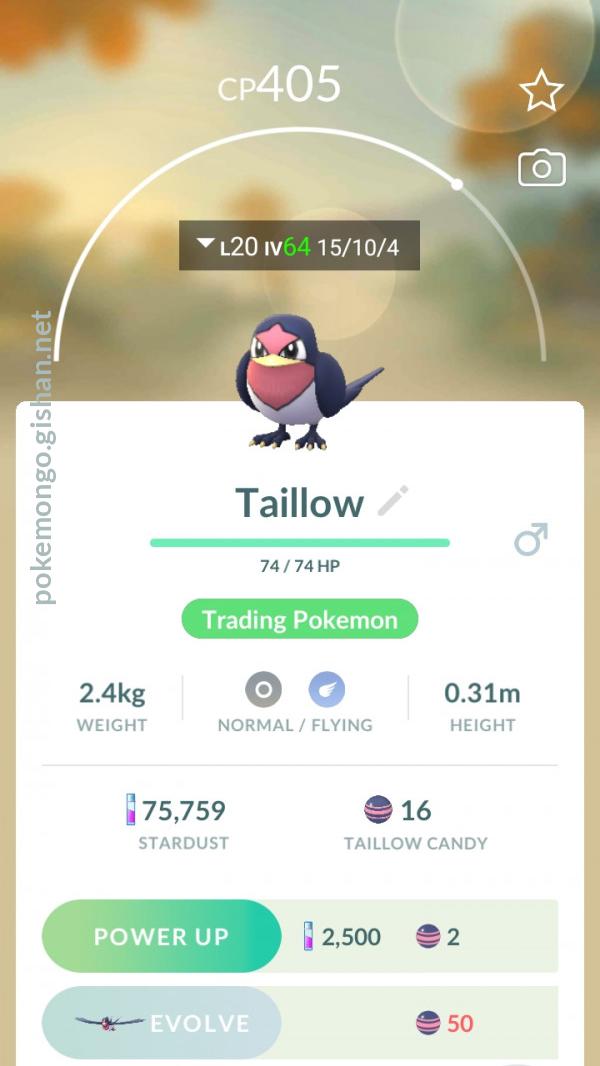taillow evolution