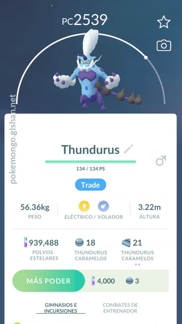 642 Thundurus (Therian)