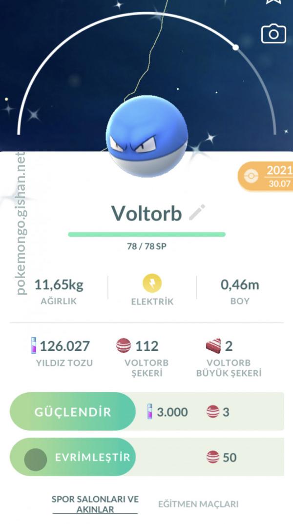 Voltorb Shiny em 2023