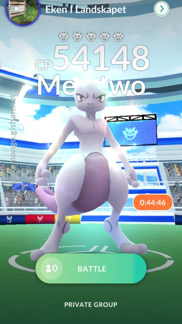 Mewtwo Raid Guide