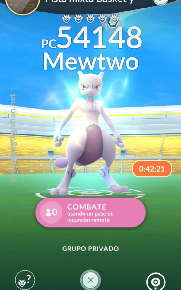 Mewtwo Raid 