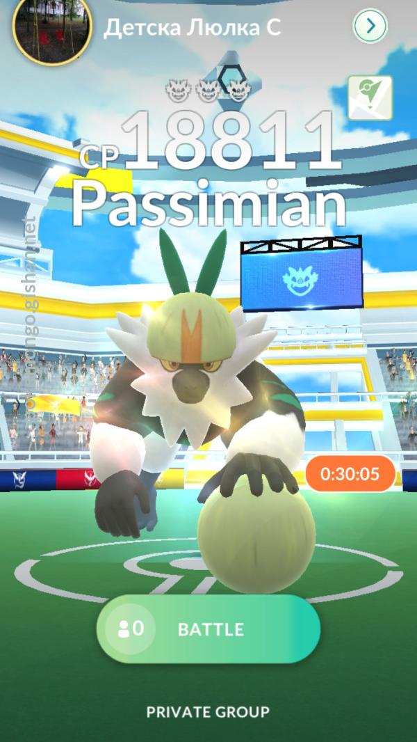 Passimian raid deals pokemon go