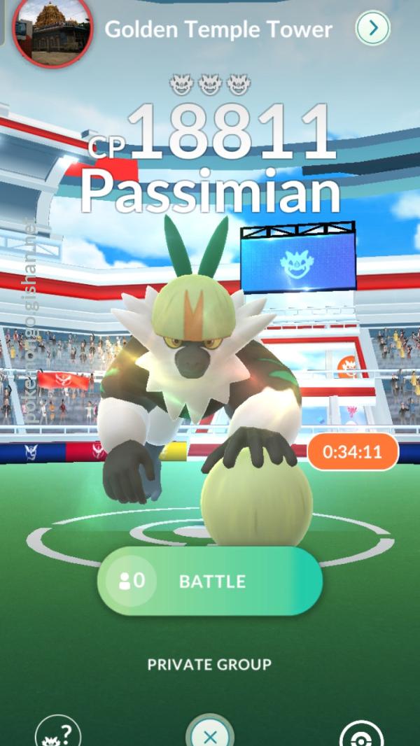 Passimian raid deals pokemon go