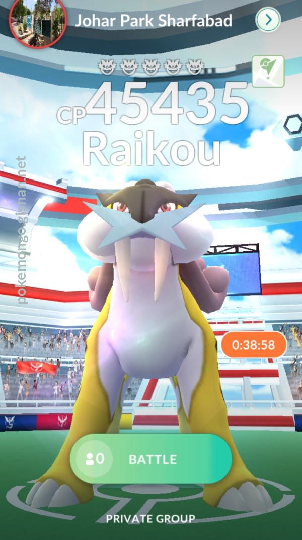 Raikou Legendary Raid Guide For Pokémon GO Tour: Johto