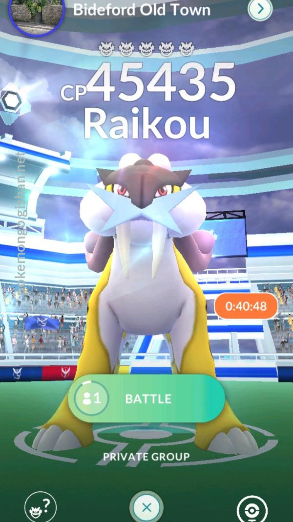 How To Beat Raid Boss Raikou 'Counters' - Pokemon Group