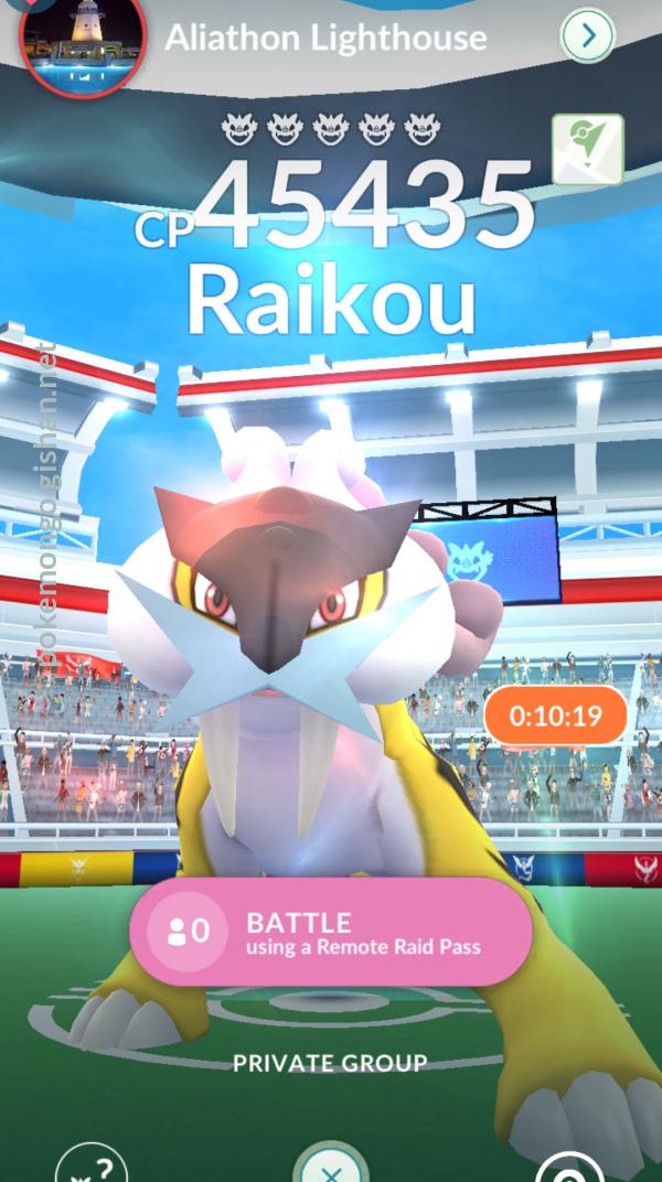 Raikou Raid Guide