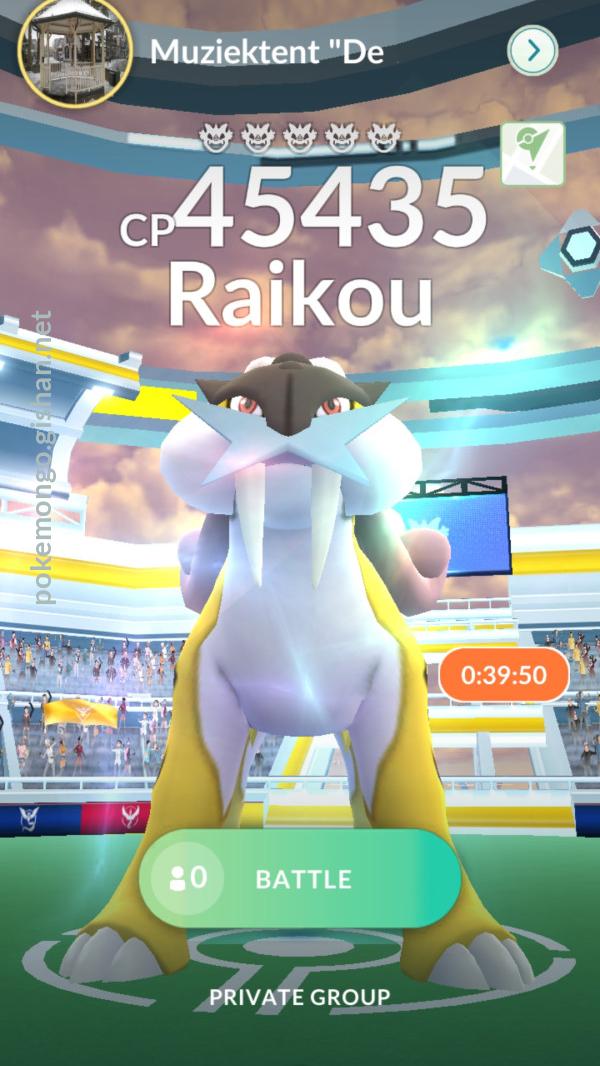 Raikou Raid Guide