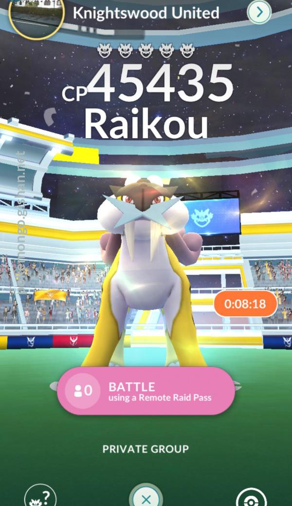 Raikou Raid Boss - Pokemon Go