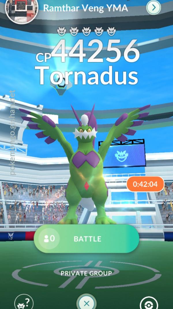 Tornadus Therian Raid Guide