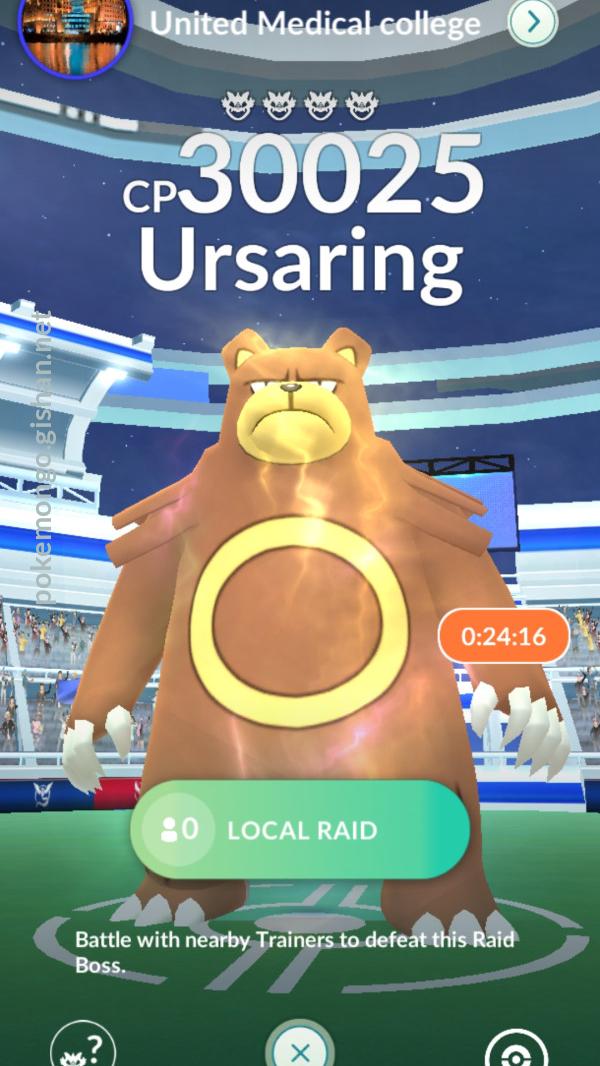 Ursaring deals raid boss