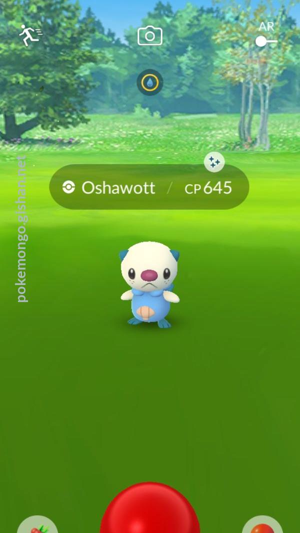 Oshawott - Pokemon Go