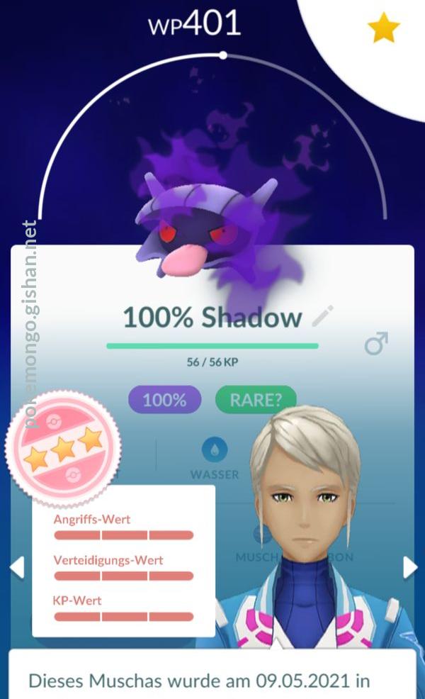 Can Shellder be shiny in Pokémon Go? - Polygon