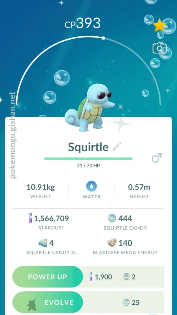 Squirtle photos - Pokemon Go